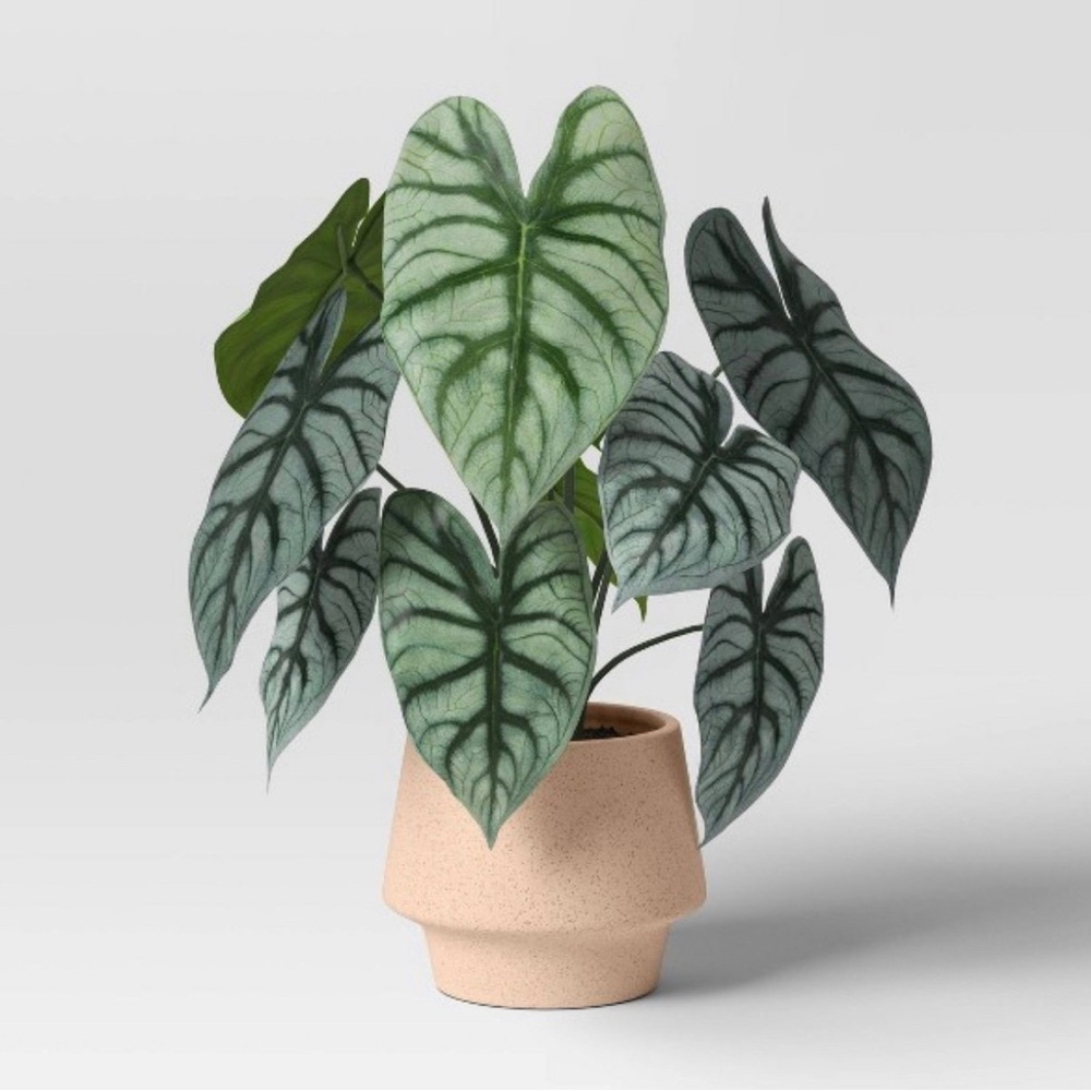 Artificial Dasheen Leaf Plant - Threshold™: Speckled Ceramic Pot